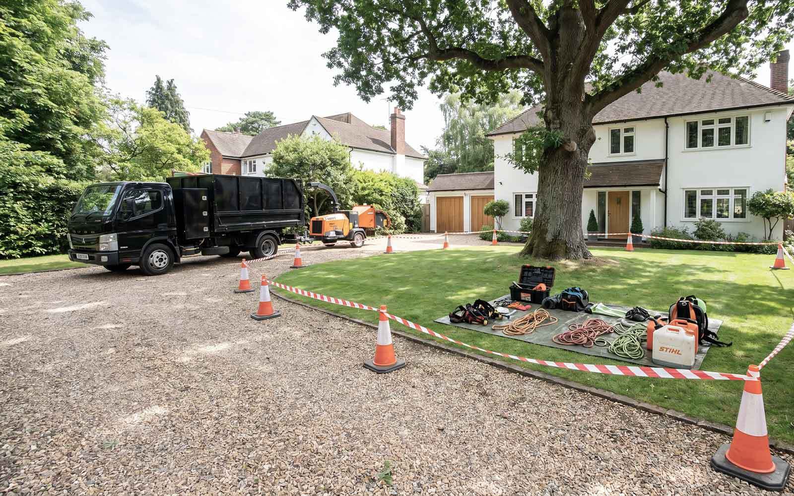 Green Meadow Tree Surgery Work
