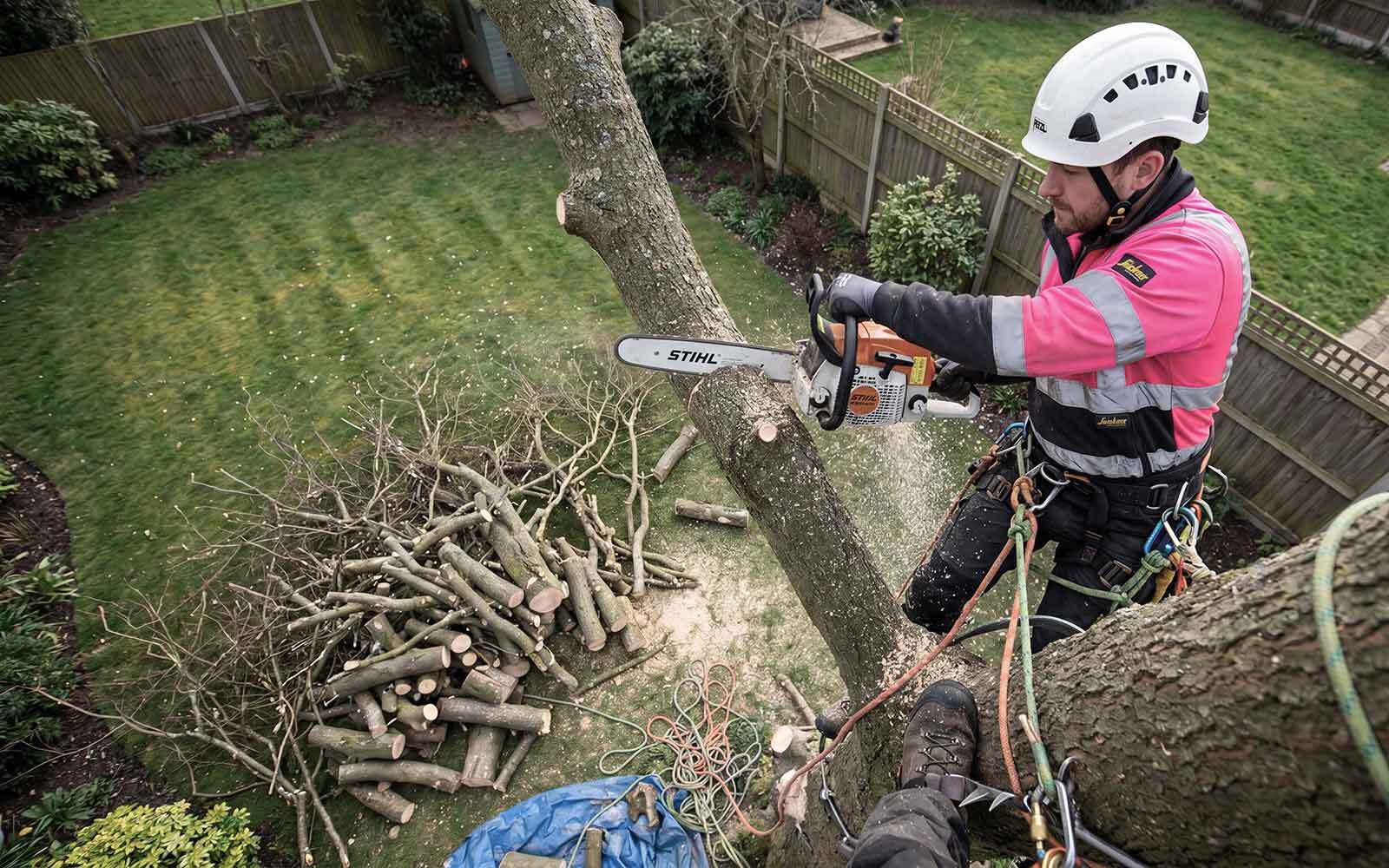 Green Meadow Tree Surgery Work