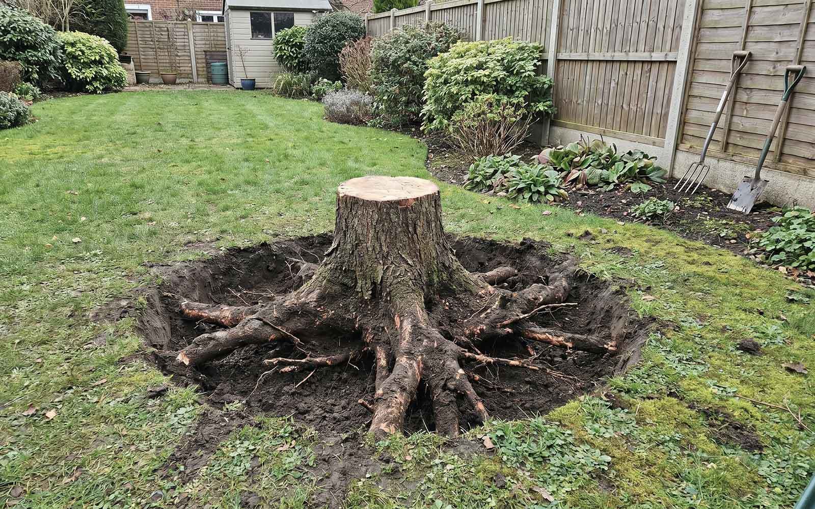 Green Meadow Tree Surgery Work